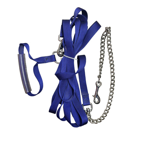Flat lay of blue lunge line coiled up with chain attached and sitting next to it. 