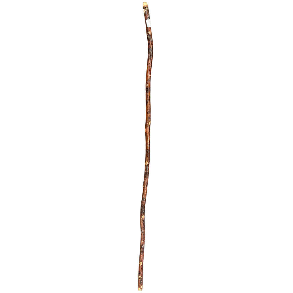 Vertical view of whistle walking stick. 