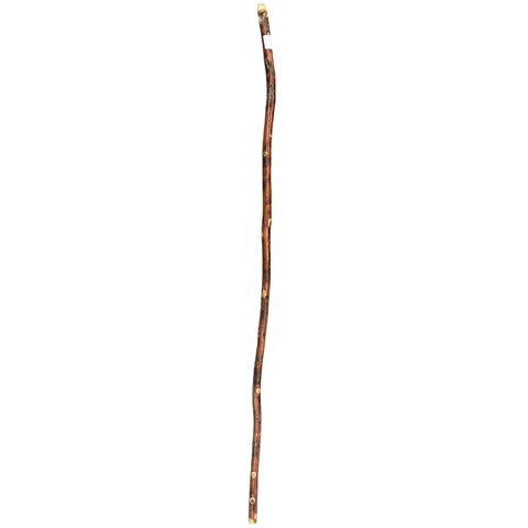 Vertical view of whistle walking stick. 