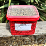 Licorice Sticks Horse Treats