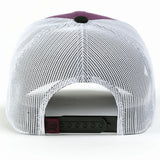 Cinch Purple Brand Cap