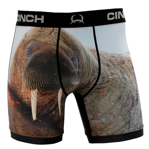 Cinch 6"  Walrus Boxer Brief