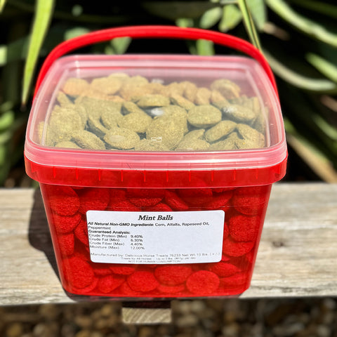Mint Ball Shaped Horse Treats