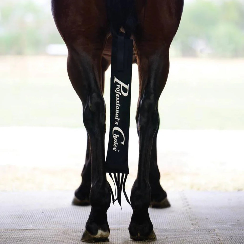 Deluxe Blace Tail Bag with Fringe at Bottom 