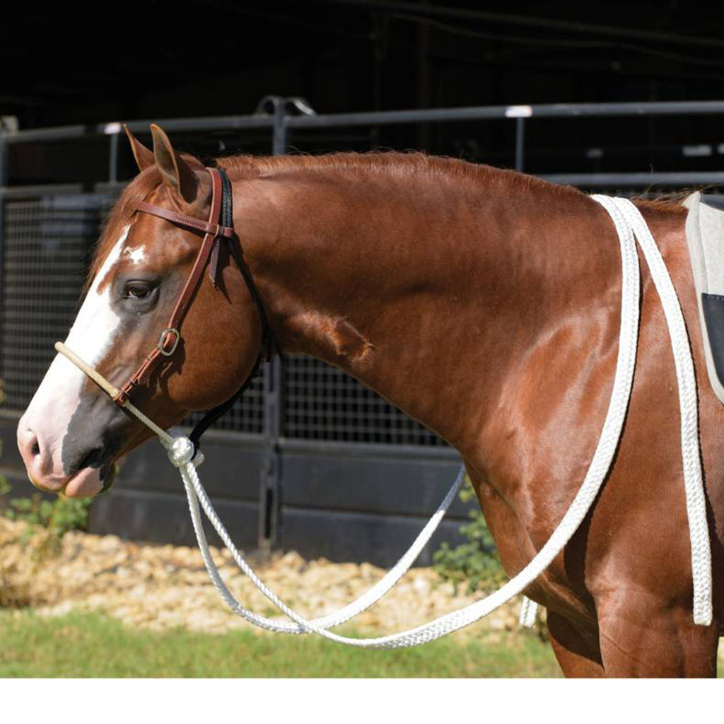 Hackamore with Mule Tape Reins