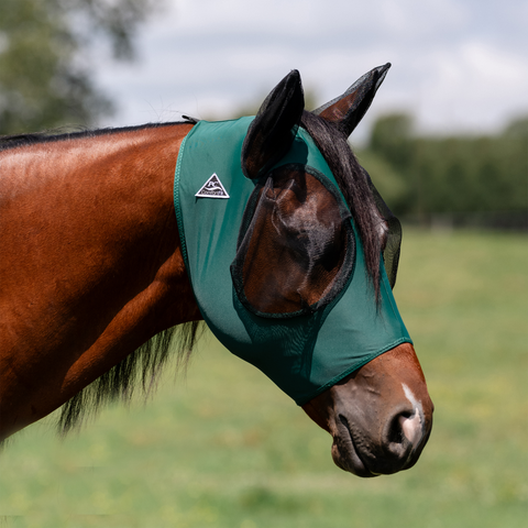 Emerald green fly mask with ears