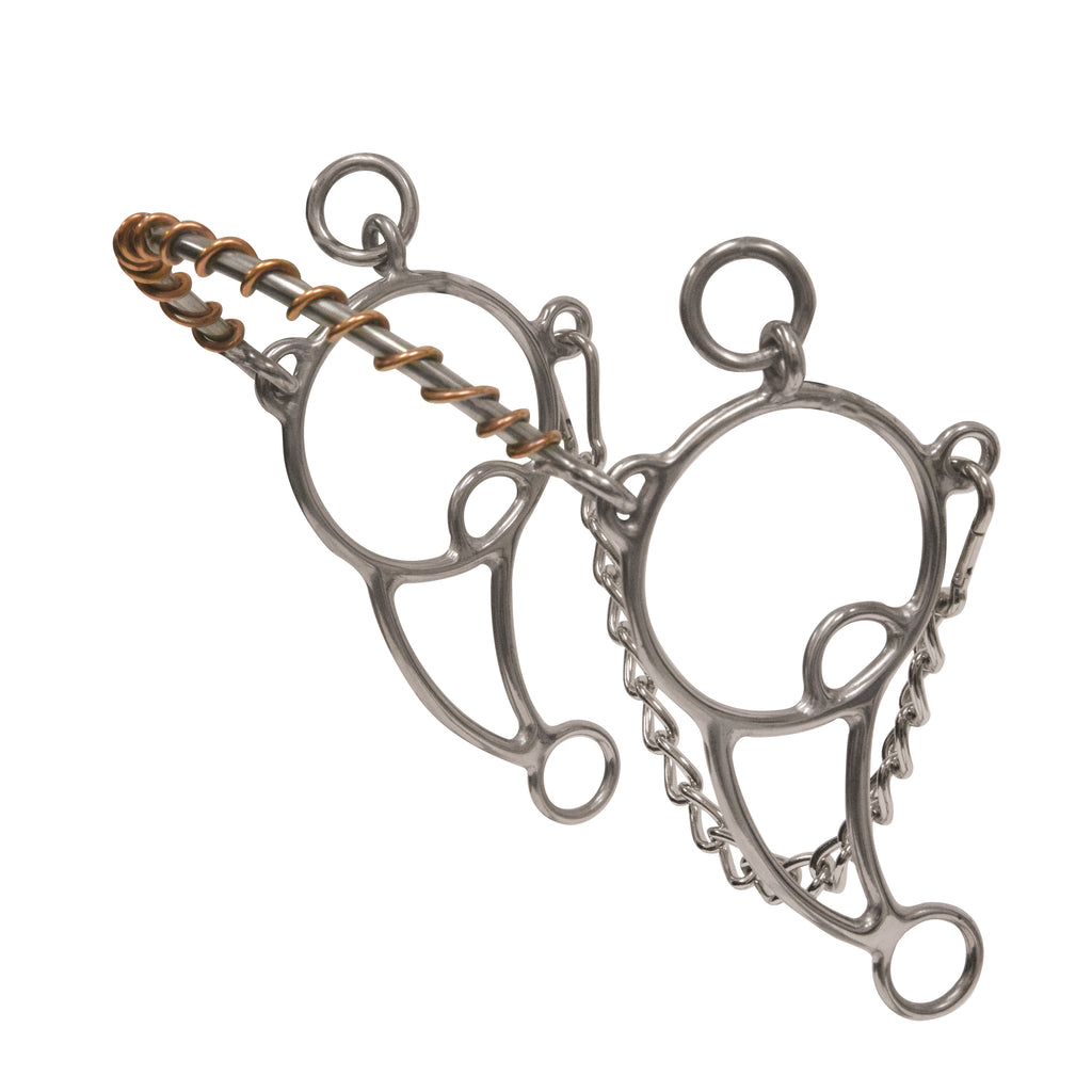 A pair of silver-colored metal horse bridle bits with a twisted rope design.
