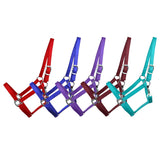 3-ply Horse Halter in Assorted Colors