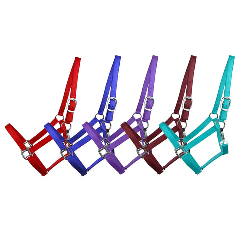 3-ply Horse Halter in Assorted Colors