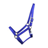 3-ply Horse Halter in Blue