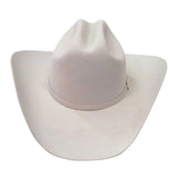 Stetson Men's 6X Silverbelly Skyline Hat