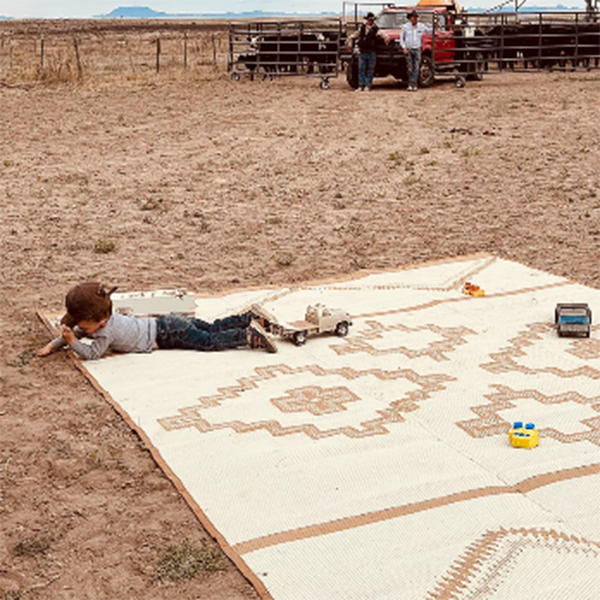 Alpine Ranch Rug Tan 9 X 12