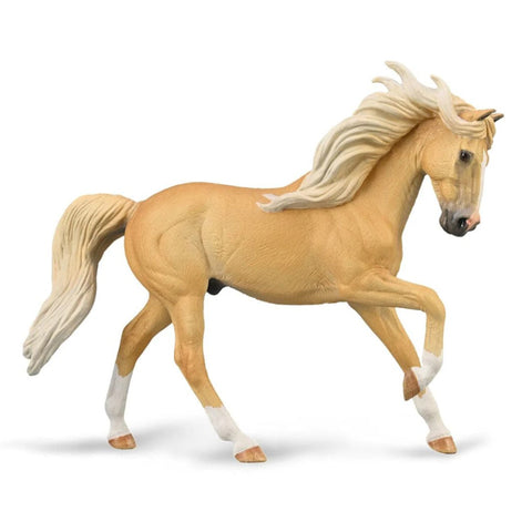 Palomino Andalusian Stallion