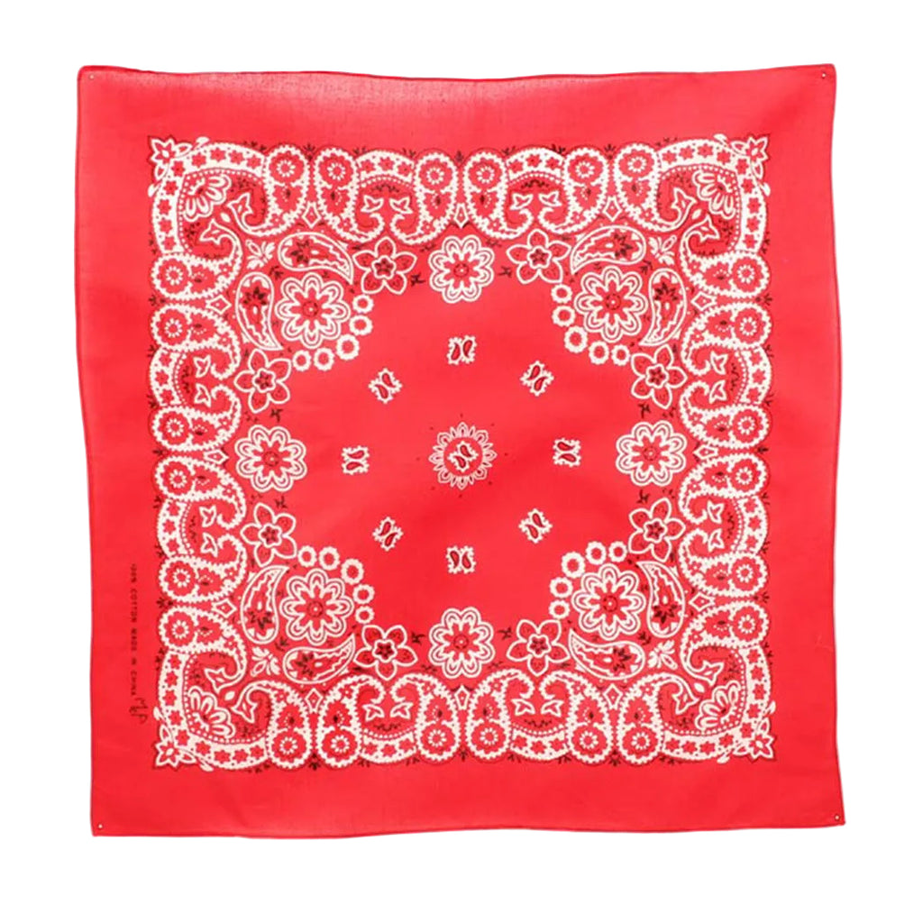 Red Paisley Bandanna