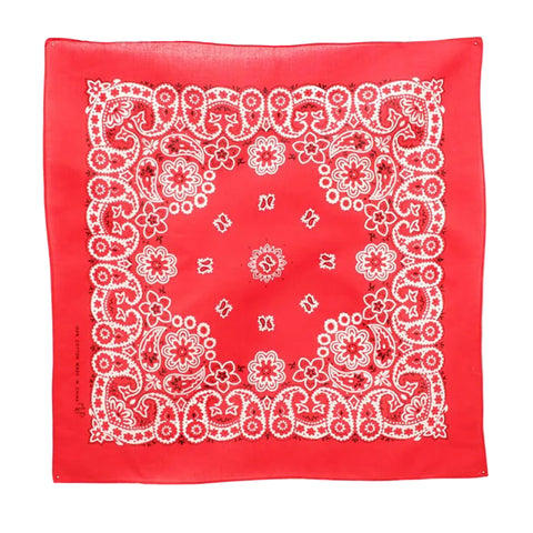 Red Paisley Bandanna