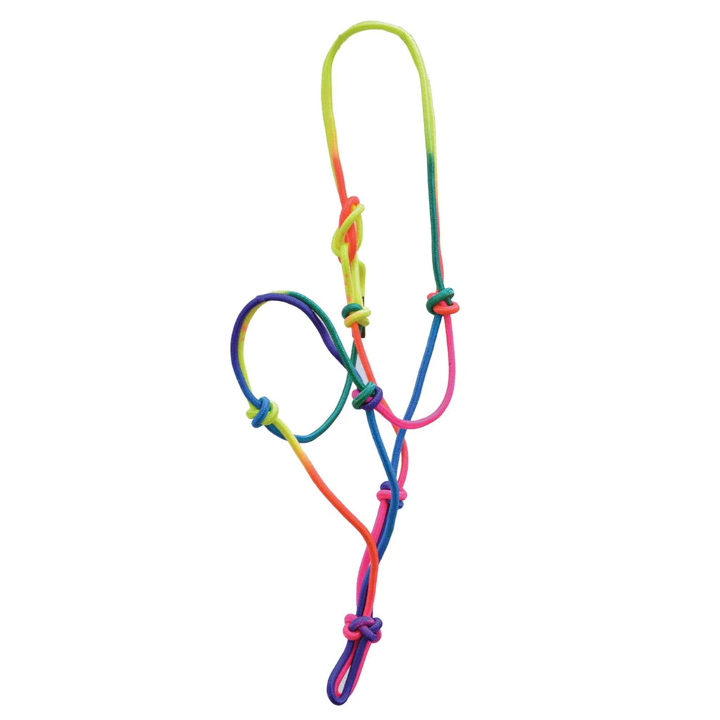 Plain view of rainbow halter. 