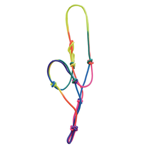Plain view of rainbow halter. 