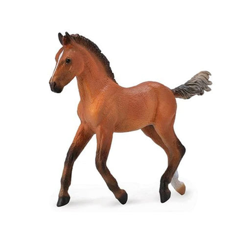 Hanoverian Foal Bay