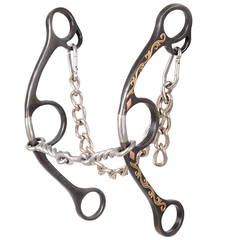 Twisted wire dogbone gag bit with curb chain.