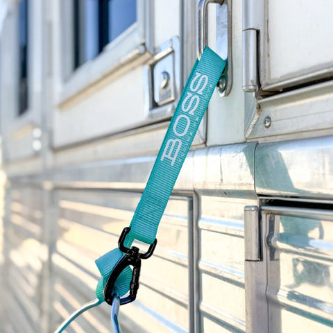 Boss Turquoise Bucket Strap
