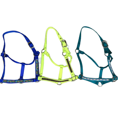 Assorted Horse Halters.