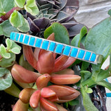 "Harli" Zuni Inlay Kingman Cuff