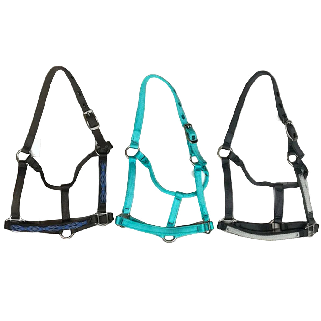 Assorted P.O.A Halters. 