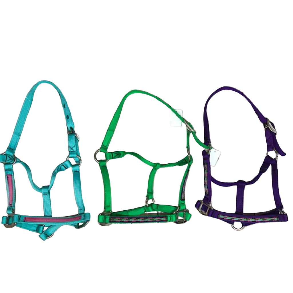 Assorted Pony Halters. 