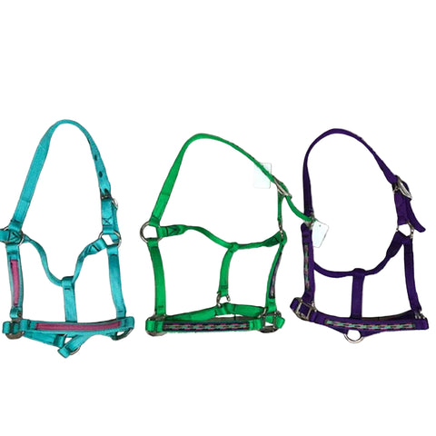 Assorted Pony Halters. 