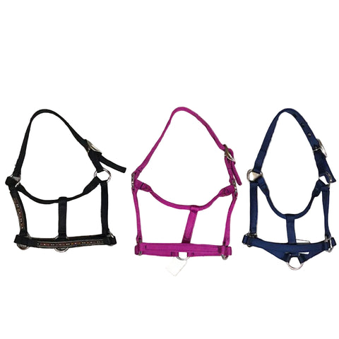 Assorted Shetland Halters. 