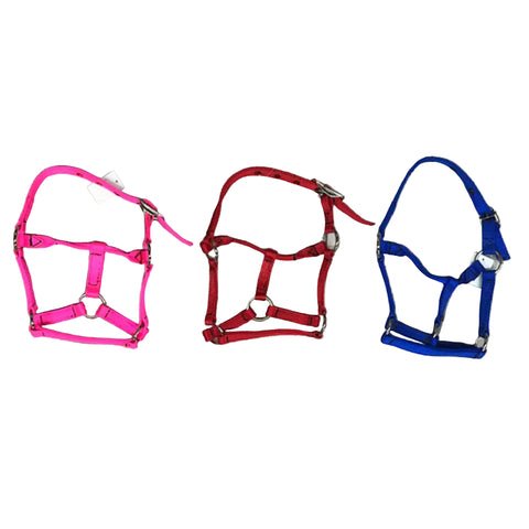 Assorted Suckling Halters. 