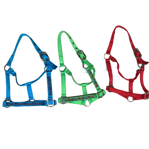 Assorted Small Horse Halters.