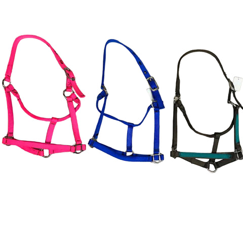 Assorted Yearling Halters. 