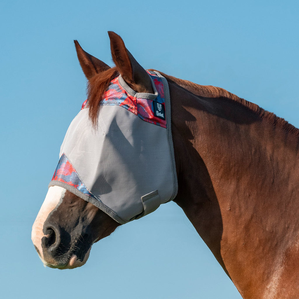Horse wearing large patchwork fly mask.