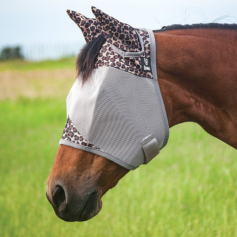 Horse wearing small leopard fly mask with ears. 
