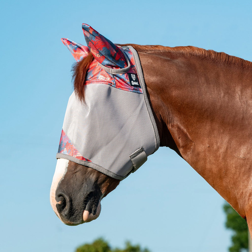 Horse wearing small patchwork fly mask with ears. 
