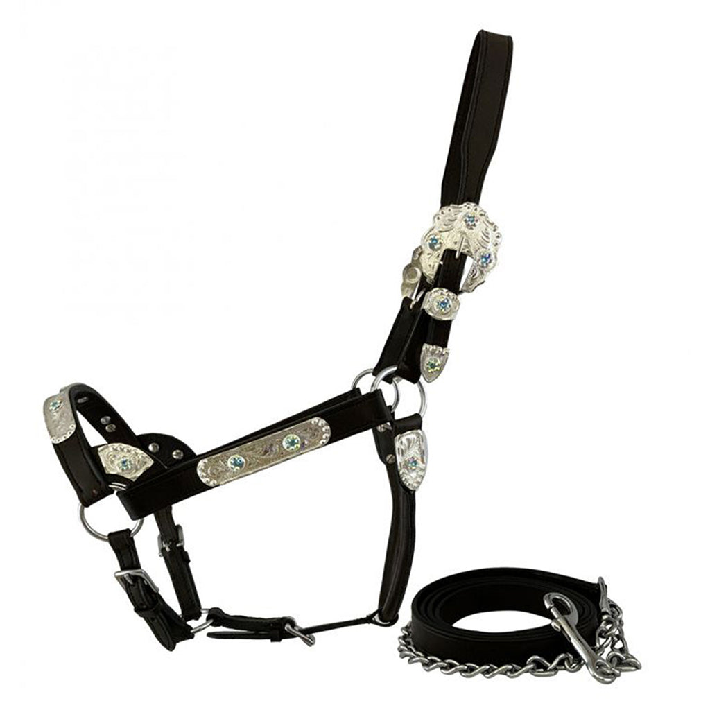 Horse size Dark Oil leather show halter with engraved silver bar accents and iridescent stones, shown with matching stud chain lead