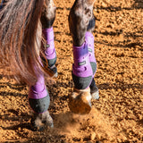 Close up of horse wearing violet legacy 2 boots front and hind.