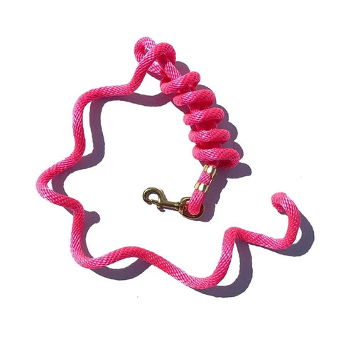 Flat lay of hot pink lead rope.