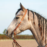 Horse with braided mane wearing a bridle in an outdoor setting