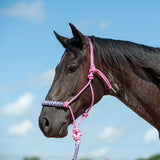 Horse wearing a pink camo halter against a blue sky