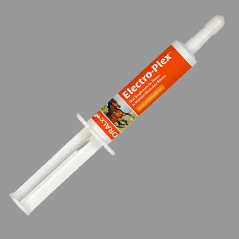 Front side view of the Electro-Plex tube. 