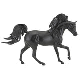 black stallion horse