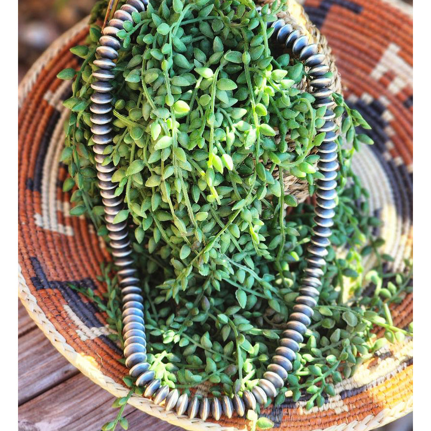 " Angelica " 14mm Sterling Silver Disc Necklace