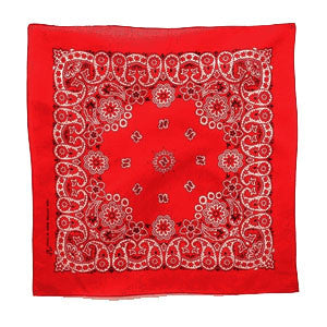 Red Paisley Bandanna