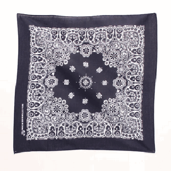 Navy Paisley Bandanna