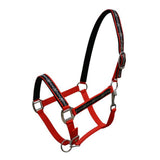 Neoprene Halter with Barbwire Design