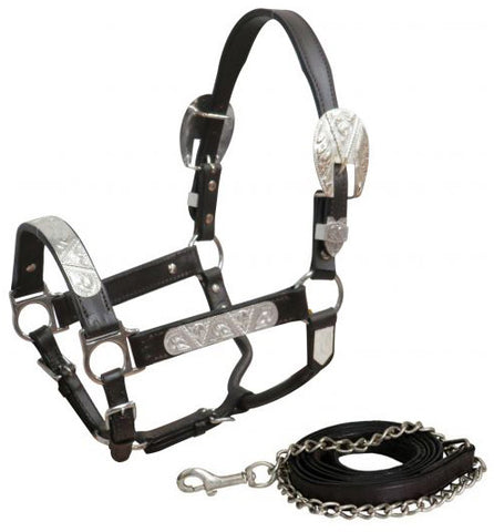 Yearling Show Halter - Dark Leather