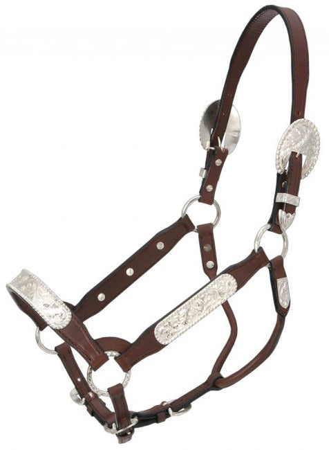 Royal King Congress Show Halter - Dark Oil - Horse