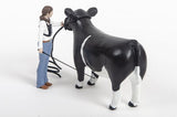 Little Buster Cattle Showmen Kit